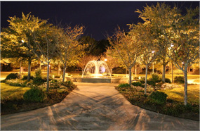 cc攻击免费网页版